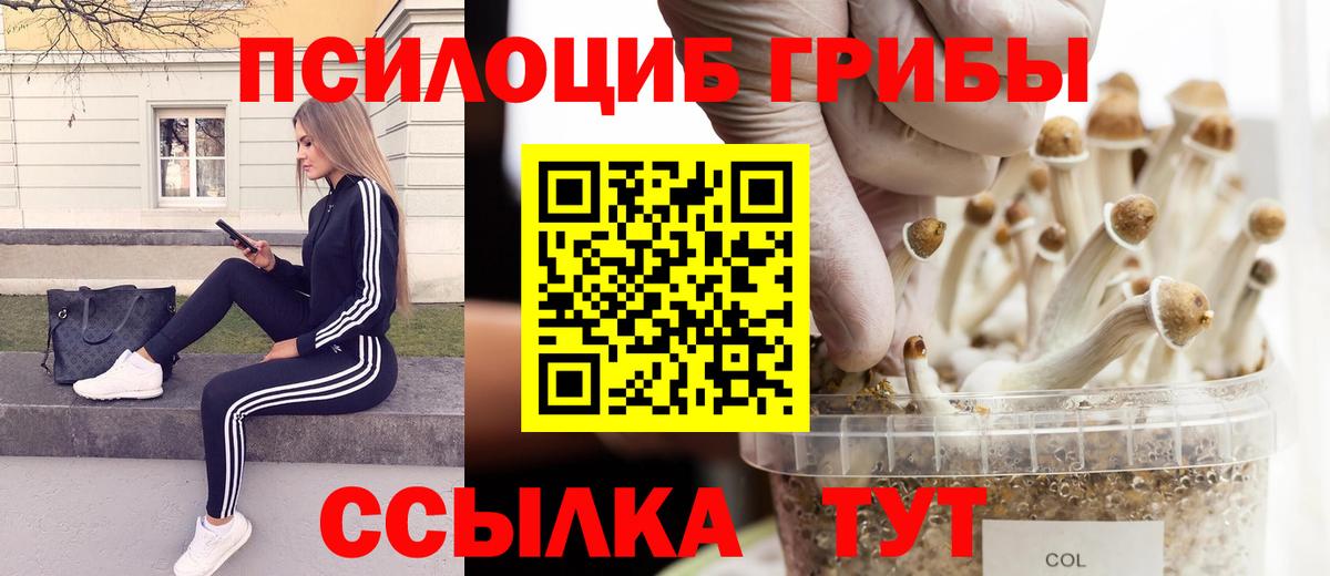 Галлюциногенные грибы Psilocybe  Галлюциногенные грибы мухоморы  Димитровград  Вход с VPN 