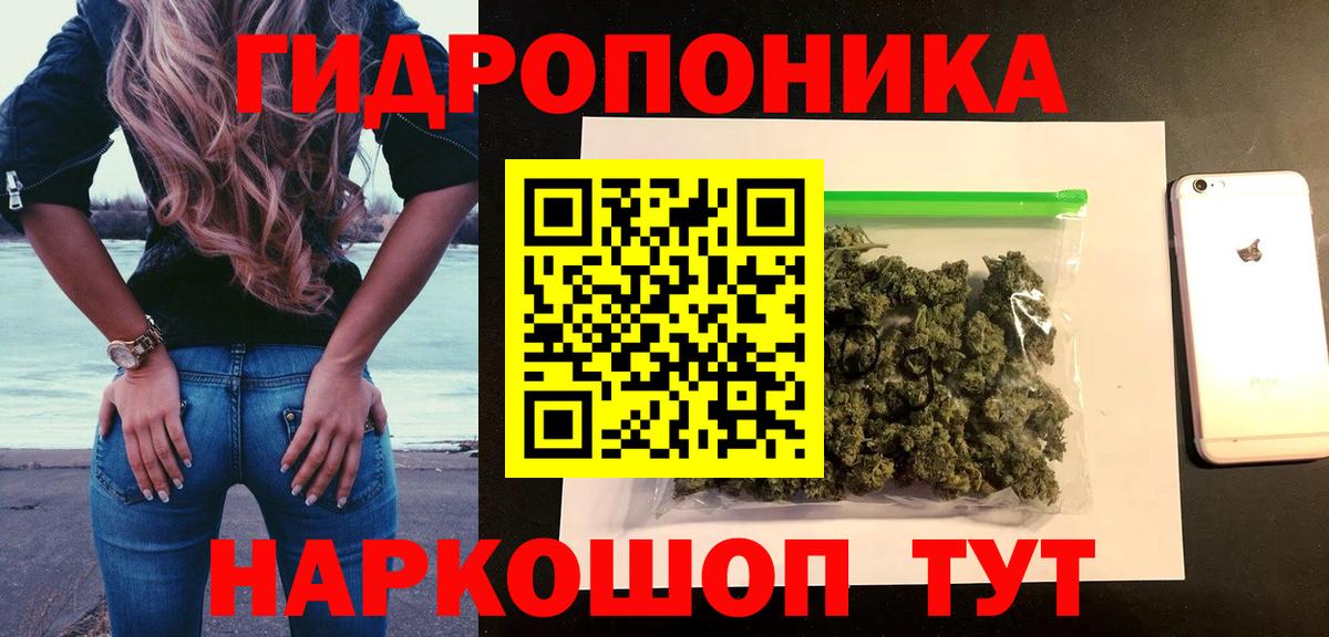 Шишки марихуана индика  Марихуана White Widow  Вход с VPN  Димитровград  Шишки марихуана OG Kush  Бошки Шишки сатива 